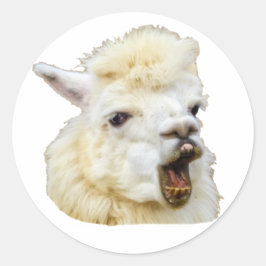 Funny face lachendes Alpaka Crazy Lama Zähne Ronde Sticker