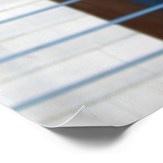 Funny Face Llama Poster (Hoek)