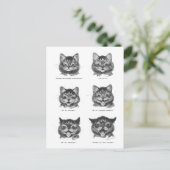 Funny Face of Cat, Louis Wain Briefkaart (Staand voorkant)