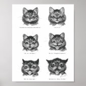 Funny Face of Cat, Louis Wain Poster (Voorkant)