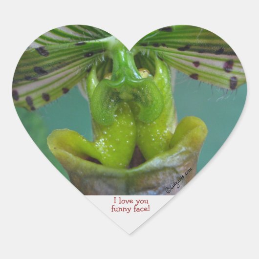 Funny Face Slipper Orchid Heart Sticker (Voorkant)