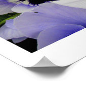 Funny Face van Linda Becker Poster (Hoek)