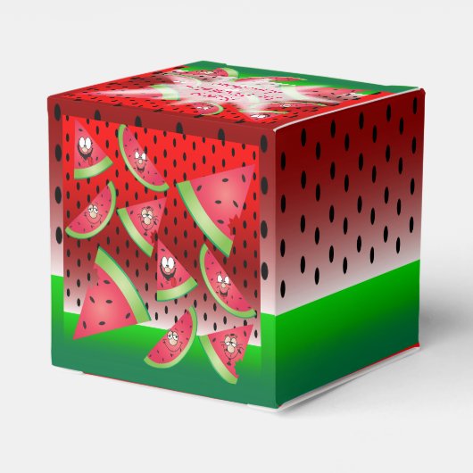 Funny Face Watermelon Kind Verjaardag Bedankdoosjes (Achterkant)