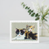 Funny Faced Kittens Briefkaart (Staand voorkant)