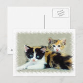 Funny Faced Kittens Briefkaart (Voorkant / Achterkant)