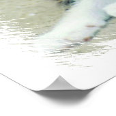 Funny Faced Kittens Poster (Hoek)