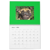 Funny Faces Calendar Kalender (Mar 2026)
