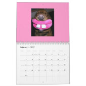 Funny Faces Calendar Kalender (Feb 2027)
