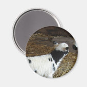 Funny Face's Lamb Magneet (Voorkant / Achterkant)