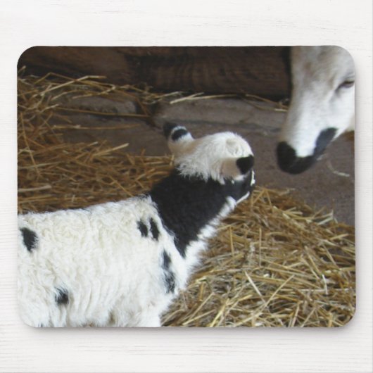 Funny Face's Lamb Muismat (Voorkant)
