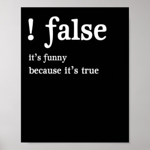Funny False Programming Coding for Programmers Poster
