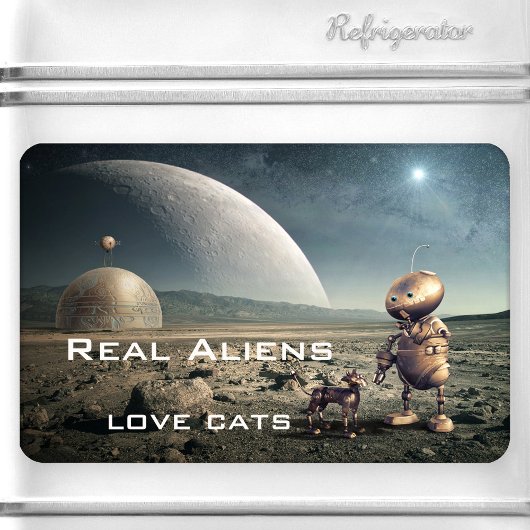 Funny Fantasy Crazy Cat Alien Magnet Magneet
