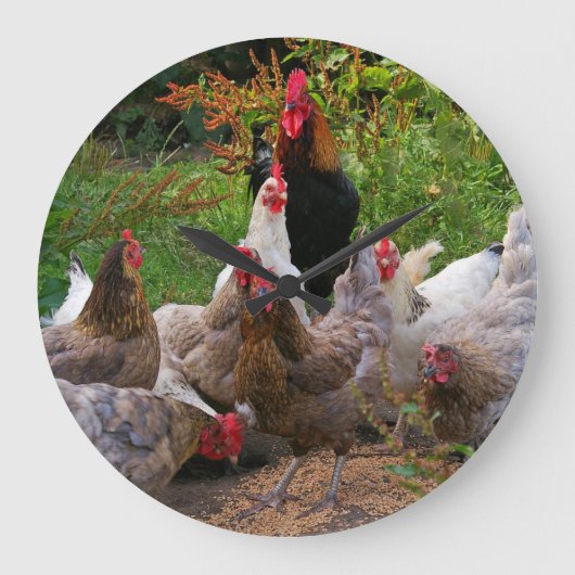 Funny Farmyard Chickens Hens & Rooster Clock Grote Klok (Voorkant)