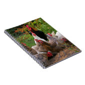 Funny Farmyard Chickens Hens & Rooster Notebook Notitieboek (Rechterzijde)