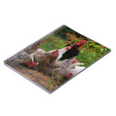 Funny Farmyard Chickens Hens & Rooster Notebook Notitieboek (Linkerzijde)