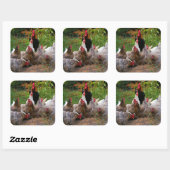 Funny Farmyard Chickens & Rooster Glossy Stickers (Vel)