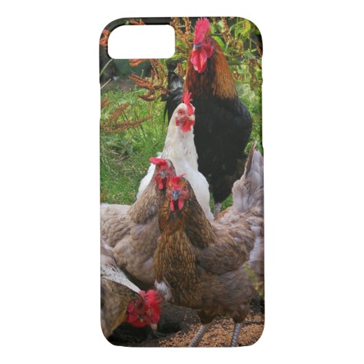 Funny Farmyard Chickens & Rooster iPhone Case (Achterkant)