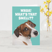 Funny Fart-Smelling Dog for Old Fart's Birthday Ca Kaart (Gele Bloem)