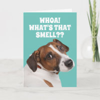 Funny Fart-Smelling Dog for Old Fart's Birthday Ca
