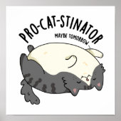 Funny Fat Cat Pun, pro-kat-stinator Poster (Voorkant)