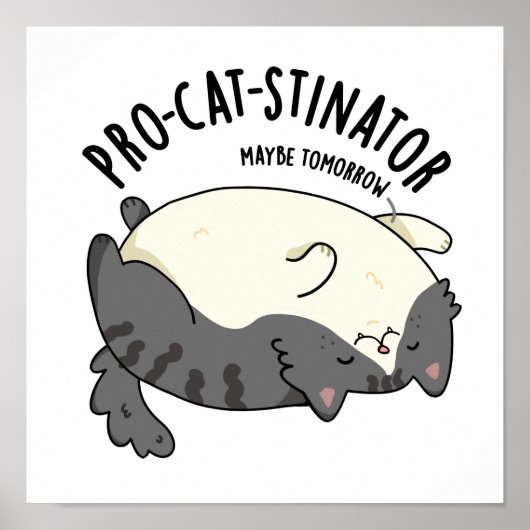 Funny Fat Cat Pun, pro-kat-stinator Poster (Voorkant)