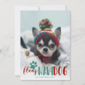Funny Feliz Navidad Dog Feestdagenkaart (Voorkant)