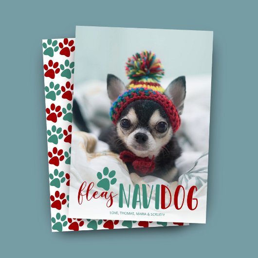 Funny Feliz Navidad Dog Feestdagenkaart