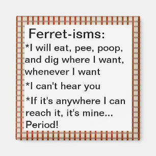 Funny Ferret-ism Quotes Magneet