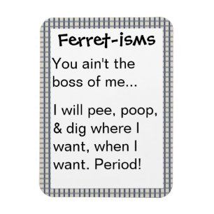 Funny Ferret-ism Quotes Magneet