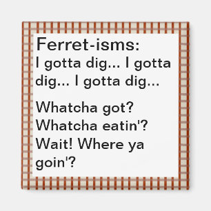 Funny Ferret-ism Quotes Magneet