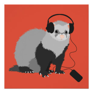 Funny Ferret Music Lover Perfect Poster