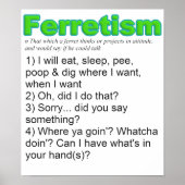 Funny Ferret Poster (Voorkant)