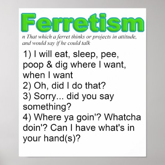 Funny Ferret Poster (Voorkant)
