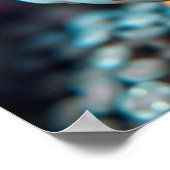 Funny Fish and Coral Close Poster (Hoek)