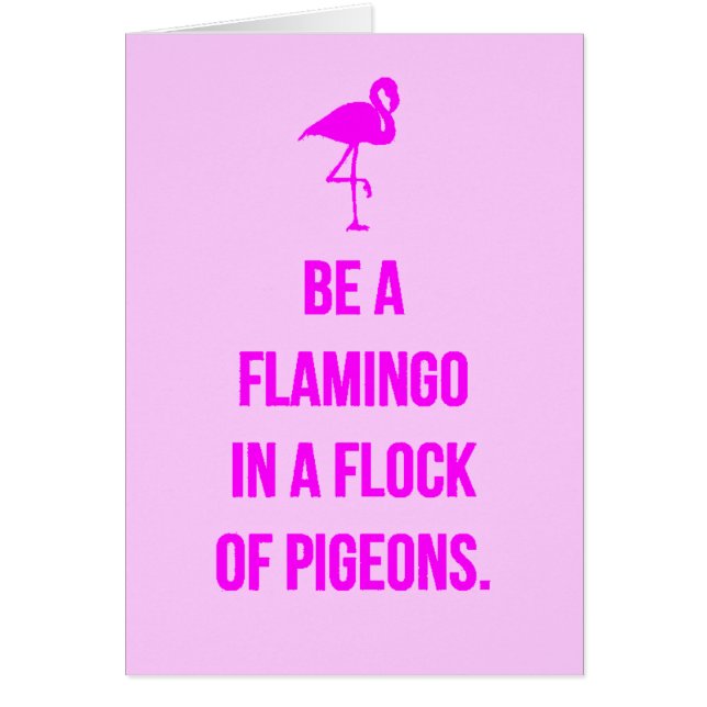 FUNNY FLAMINGO ADVICE IS ÉÉN IN EEN STROOM PIGEONS (Voorkant)