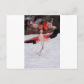 Funny Flamingo danst flamenco Briefkaart (Voorkant)