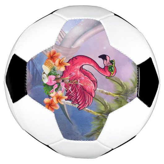 Funny flamingo voetbal (Gedraaid)