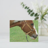 Funny Flashy Horse Briefkaart (Staand voorkant)