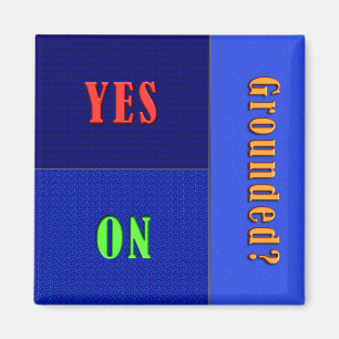 Funny Flip Magnet - Status gegrond