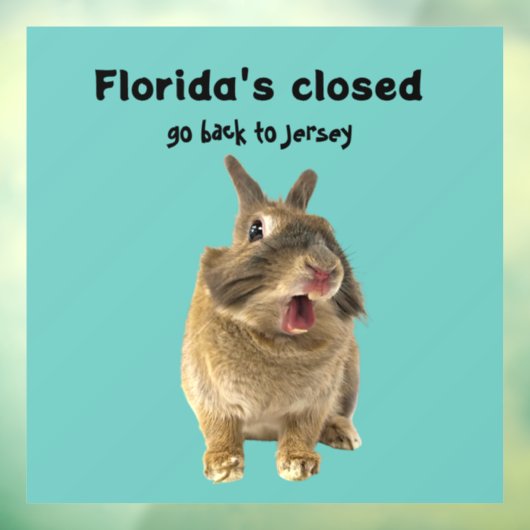 Funny Florida New Jersey Window Decal (Vel 3)