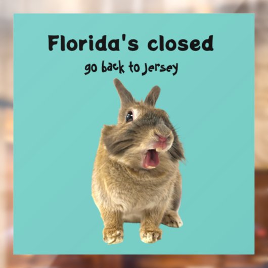 Funny Florida New Jersey Window Decal (Vel 2)