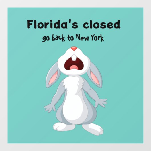 Funny Florida New York Window Decal (Vel)