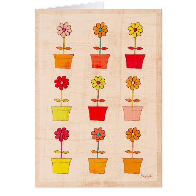 Funny Flowers (Voorkant)