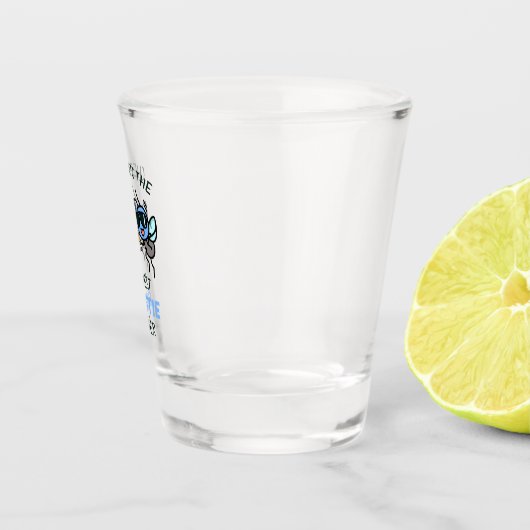 Funny Fly Pun Proost Beste Vriend Gelukkige Verjaa Shot Glas (Rechts)