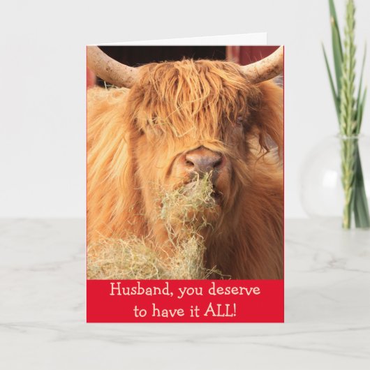 Funny for Husband Scottish Steer Birthday Kaart (Voorkant)