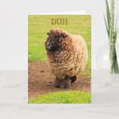 Funny Forgetful Sheep Birthday Kaart (Voorkant)