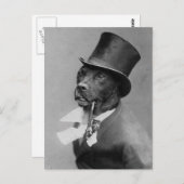 Funny  Foto van Dog in Top Hat Briefkaart (Voorkant / Achterkant)