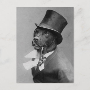 Funny  Foto van Dog in Top Hat Briefkaart