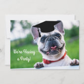 Funny French BullDog Dog Foto Graduation Party Kaart (Voorkant)