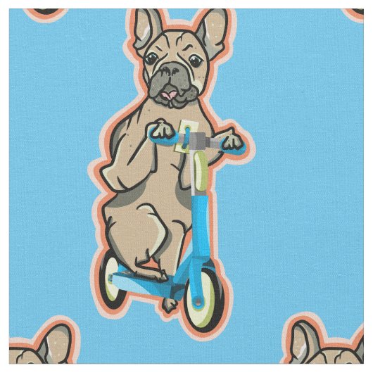 Funny French bulldog Stof (Close Up)